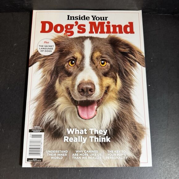 Dog Media Bundle [Book 284] - Picture 5 of 8